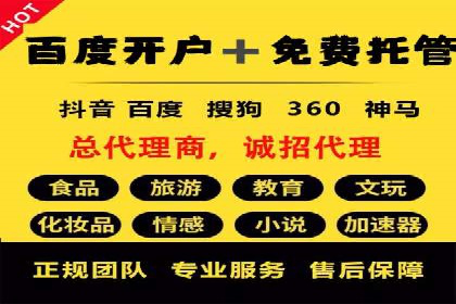 竞价广告投放策略，代运营公司的成功实践